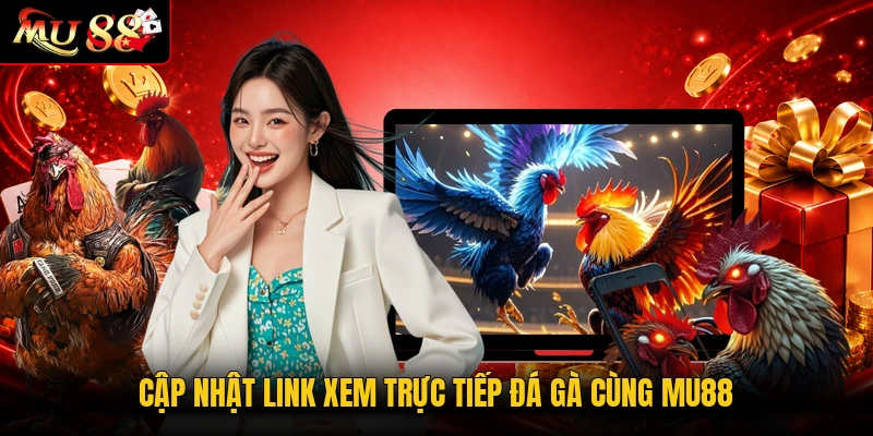 Cập nhật link xem trực tiếp đá gà cùng MU88