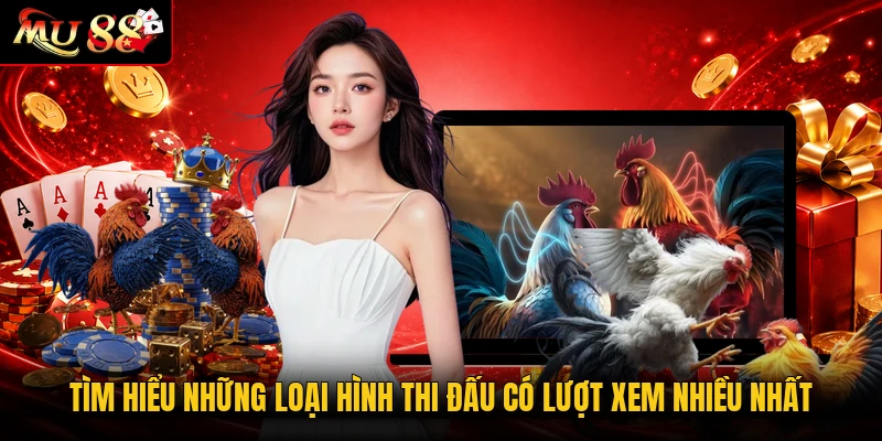 Tìm hiểu những loại hình thi đấu có lượt xem nhiều nhất